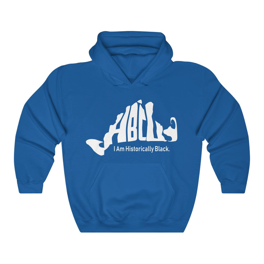Blue - HBCU Unisex Heavy Blend™ Hooded Sweatshirt