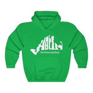Blue - HBCU Unisex Heavy Blend™ Hooded Sweatshirt
