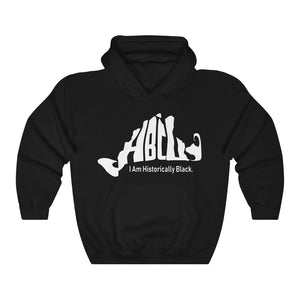 Blue - HBCU Unisex Heavy Blend™ Hooded Sweatshirt
